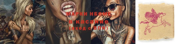 мяу мяу мука Баксан