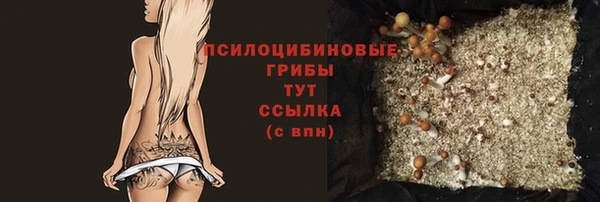 мяу мяу мука Баксан