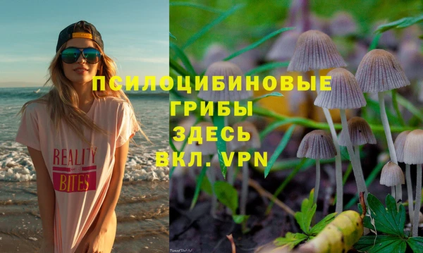 мяу мяу мука Баксан